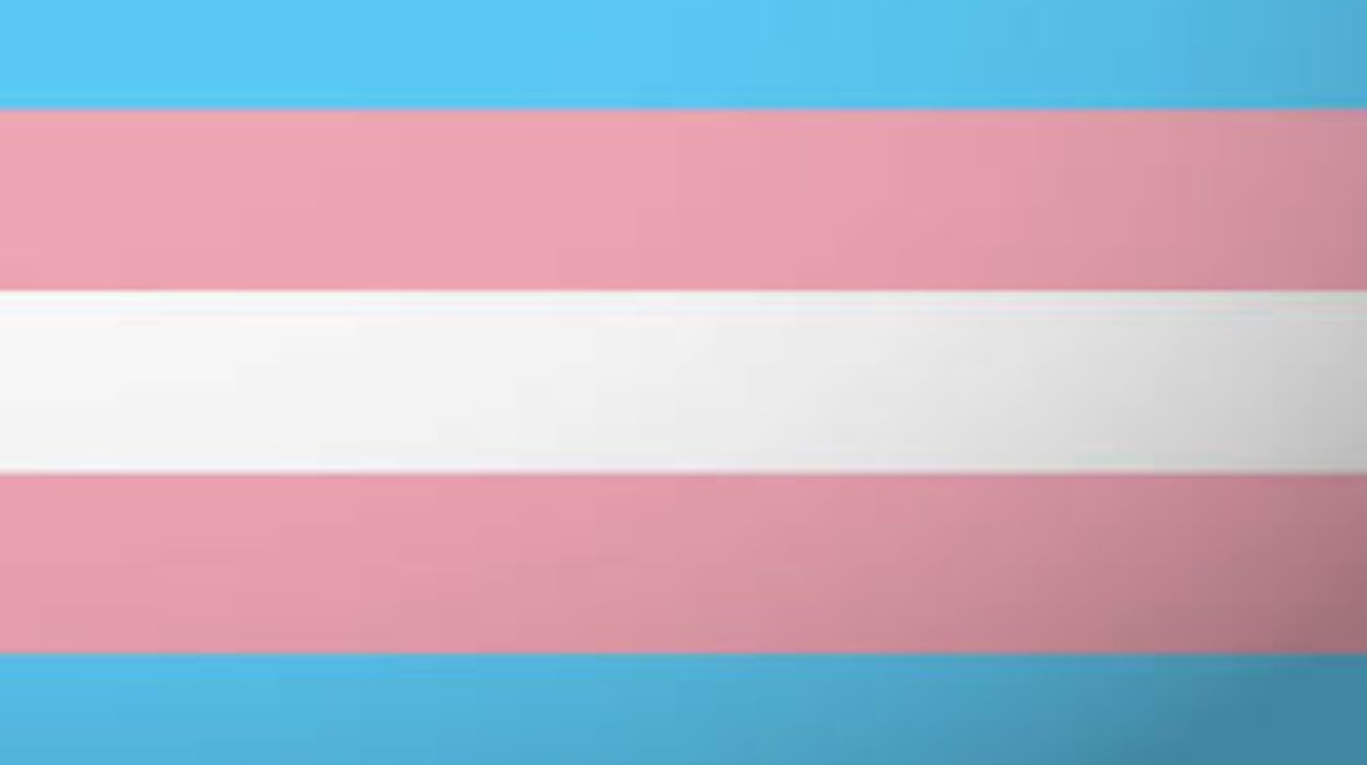 Trans flag and meaning