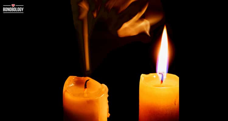 false twin flame