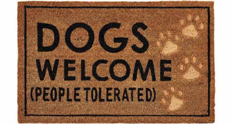 dogs met