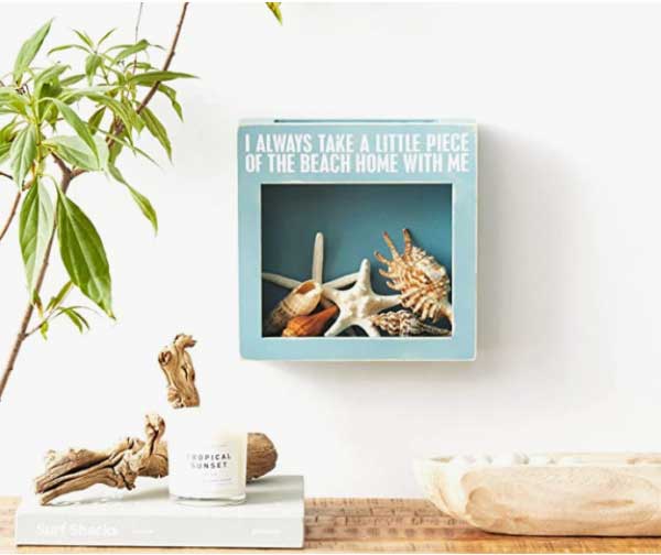 Collection box for seashells