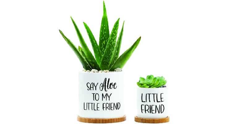 plant pot set