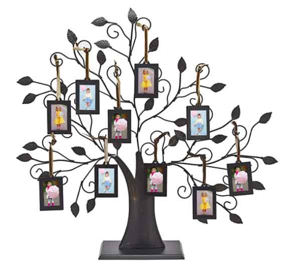 famlity tree